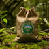 Cinematic-Costa Rica Tarrazu-Medium